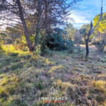 Terrain constructible de 1000 m² à Sauteyrargues, près de Montpellier