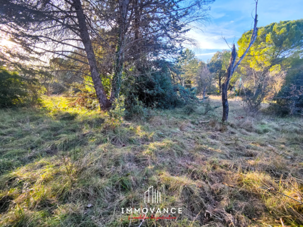 Terrain constructible de 1000 m² à Sauteyrargues, près de Montpellier