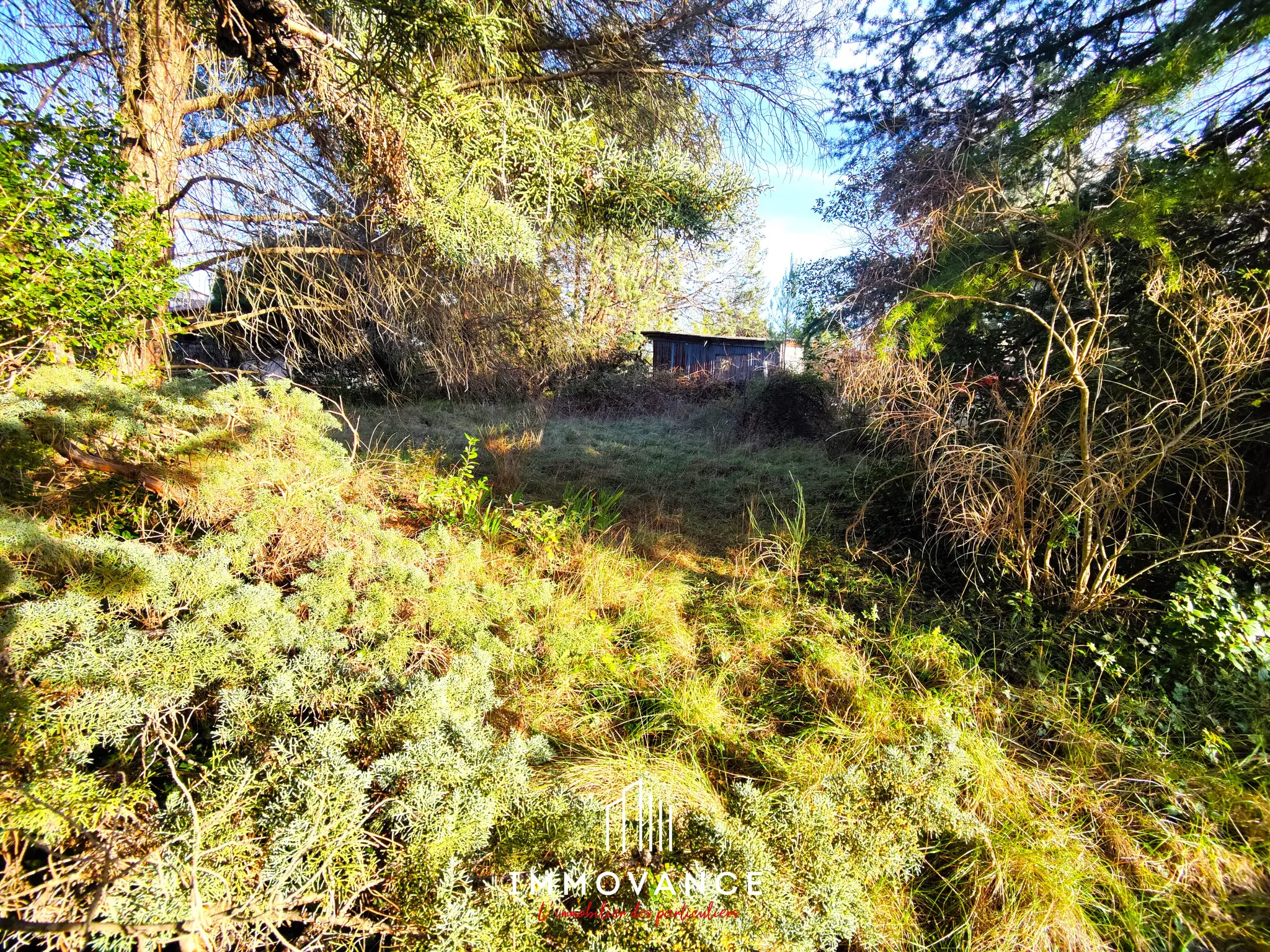 Terrain constructible de 1000 m² à Sauteyrargues, près de Montpellier 