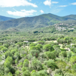 Terrain constructible de 850m² à Laroque-des-Albères à vendre