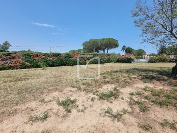 Terrain constructible 923 m² avec vue sur Albères à Laroque des Albères