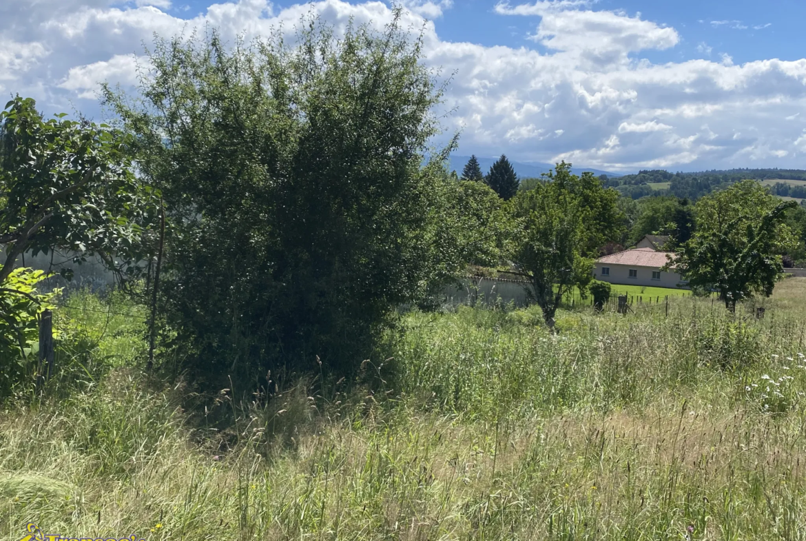 Terrain à vendre à Courpière (63120) de 500 m² 