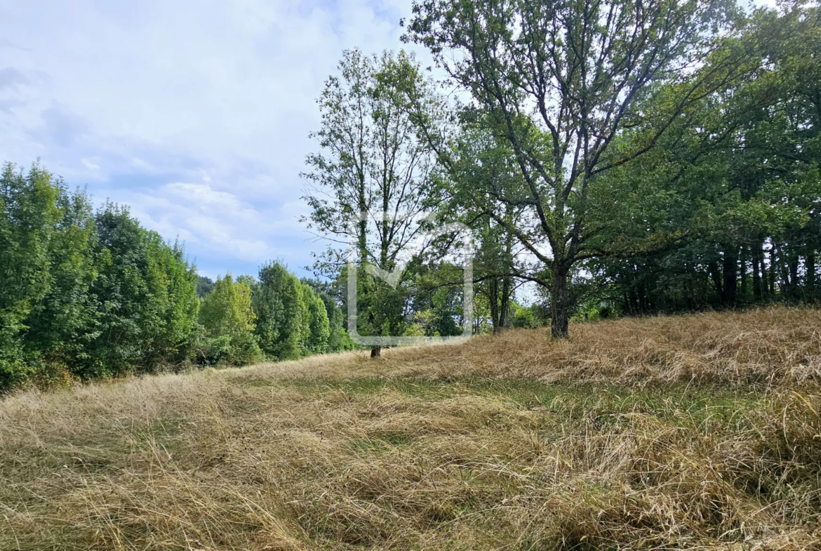 Terrain à bâtir de 4188 m² à Vignols 