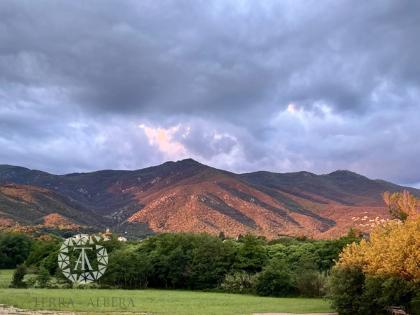 Grand terrain constructible au pied des Albères