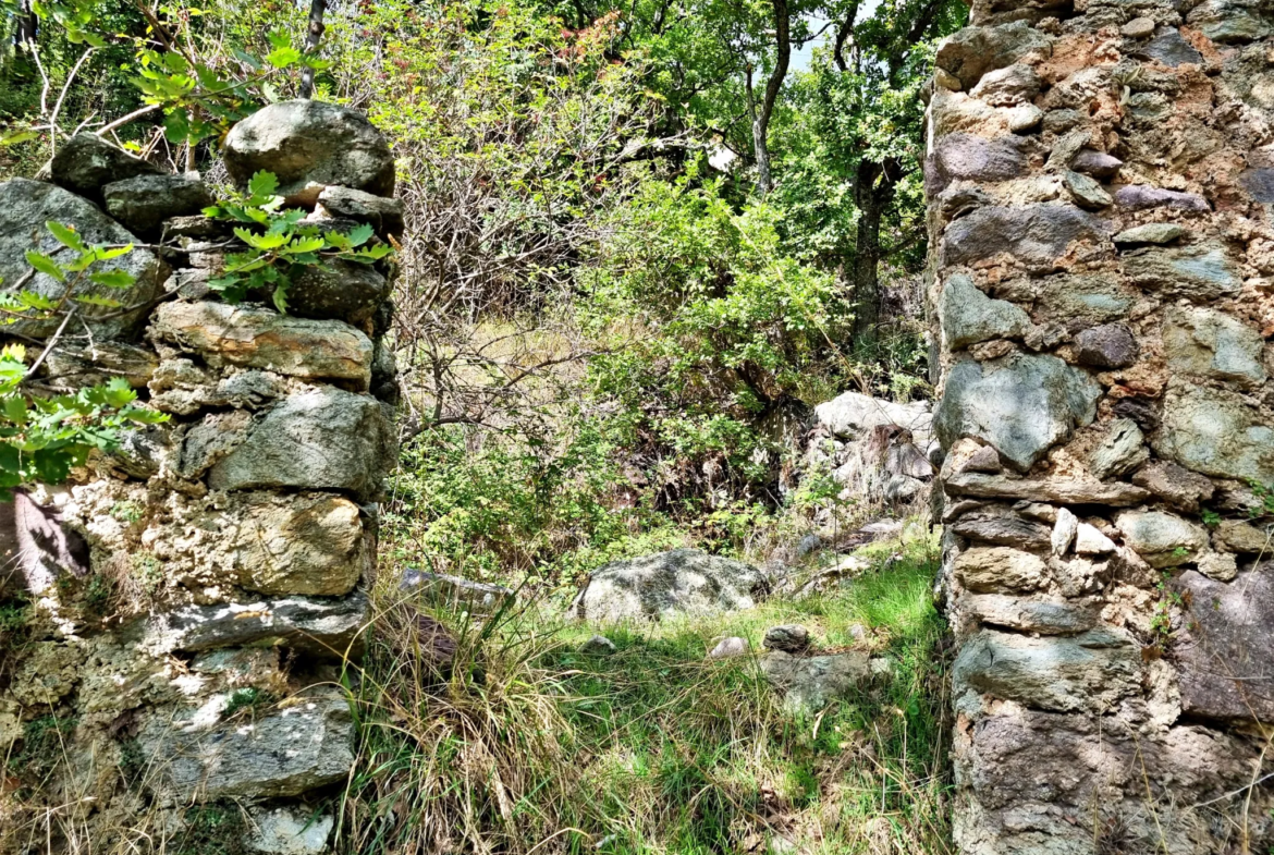 Terrain de Loisir avec Cabanons aux Adrets, Proche de Belvédère 