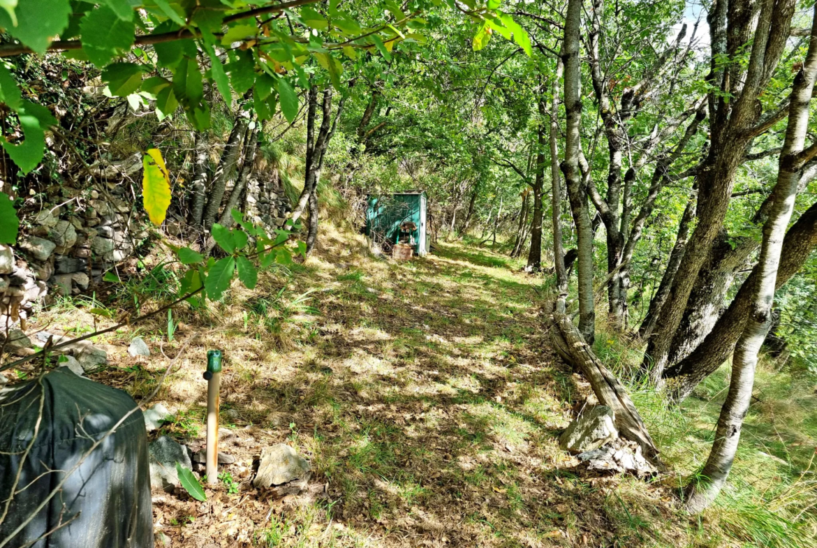 Terrain de Loisir avec Cabanons aux Adrets, Proche de Belvédère 