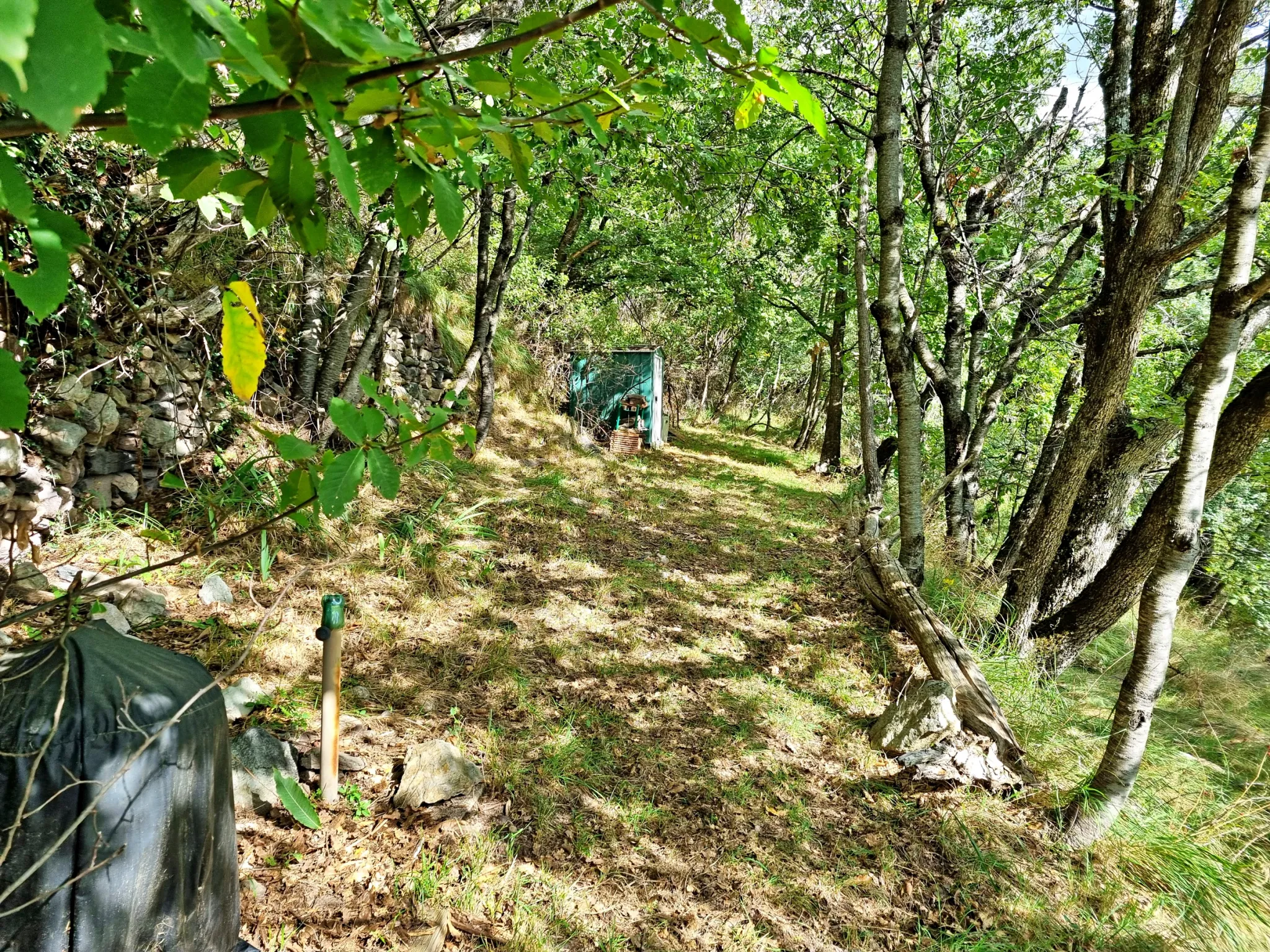 Terrain de Loisir avec Cabanons aux Adrets, Proche de Belvédère 