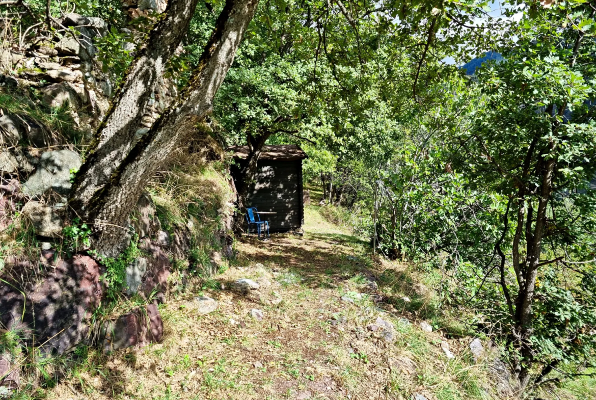 Terrain de Loisir avec Cabanons aux Adrets, Proche de Belvédère 