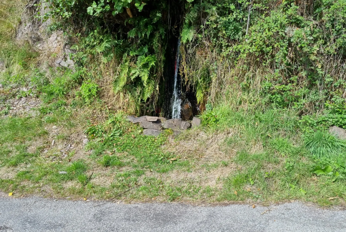 Terrain de Loisir avec Cabanons aux Adrets, Proche de Belvédère 