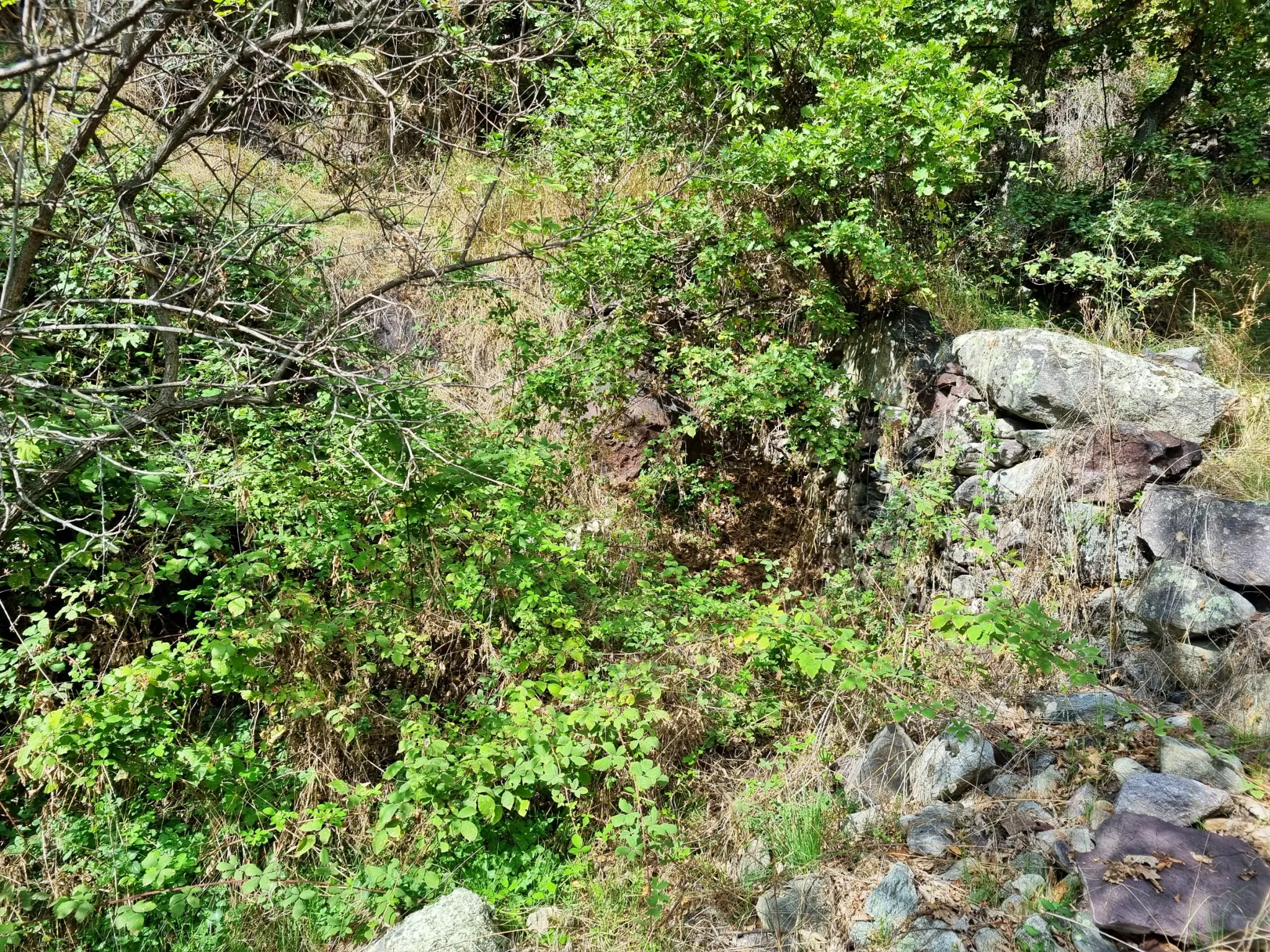 Terrain de Loisir avec Cabanons aux Adrets, Proche de Belvédère 