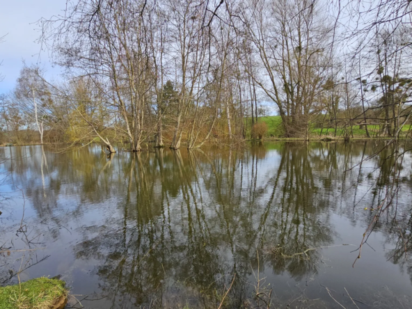 Longère avec étang privatif à Forges les Eaux