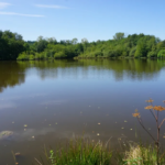 Propriété avec étang à 20 minutes de Paray-le-Monial