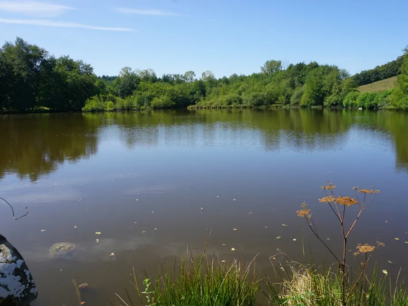 Propriété avec étang à 20 minutes de Paray-le-Monial