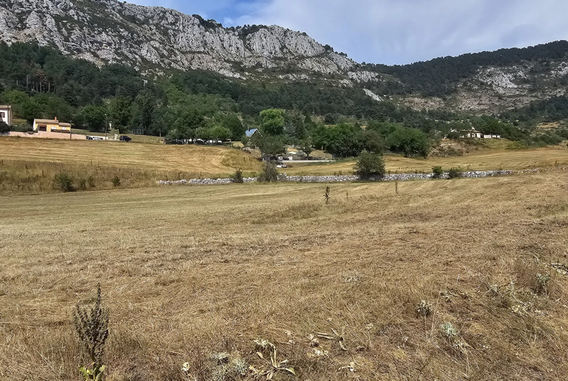 A vendre : Terrain de loisirs à Séranon, 5135 m² 