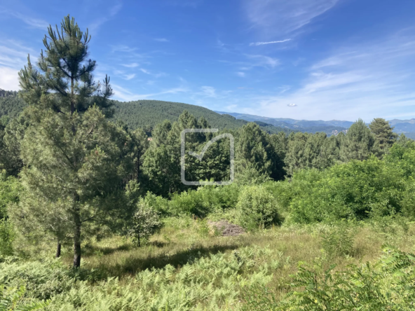 Terrain à bâtir de 1818 m2 avec vue magnifique à Mercuer