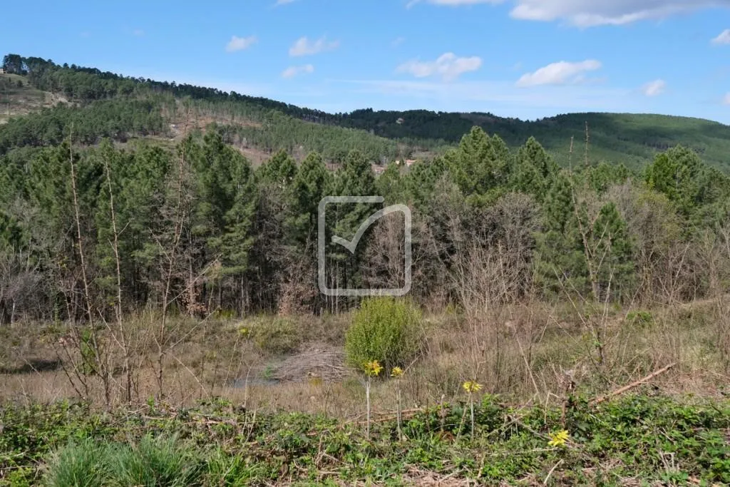 Terrain à bâtir de 1818 m2 avec vue magnifique à Mercuer 