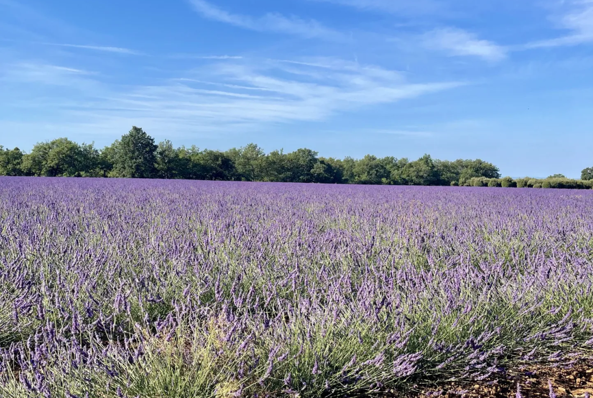 Appartement T2 à rénover à Valensole (04210) 