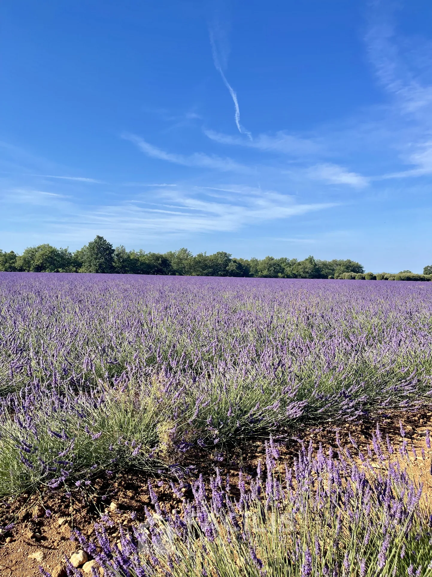 Appartement T2 à rénover à Valensole (04210) 