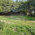 Terrain à vendre de 355 m² à Boisseron pour 155 000 euros