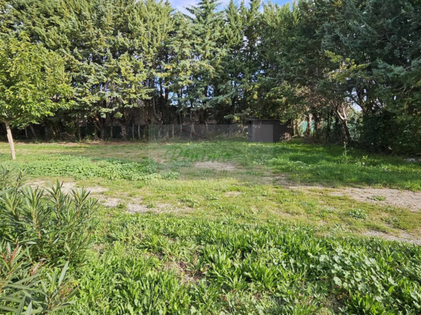 Terrain à vendre de 355 m² à Boisseron pour 155 000 euros