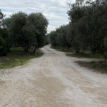 Terrain à Bâtir à Châteauneuf de Gadagne - 394 m² Viabilisé