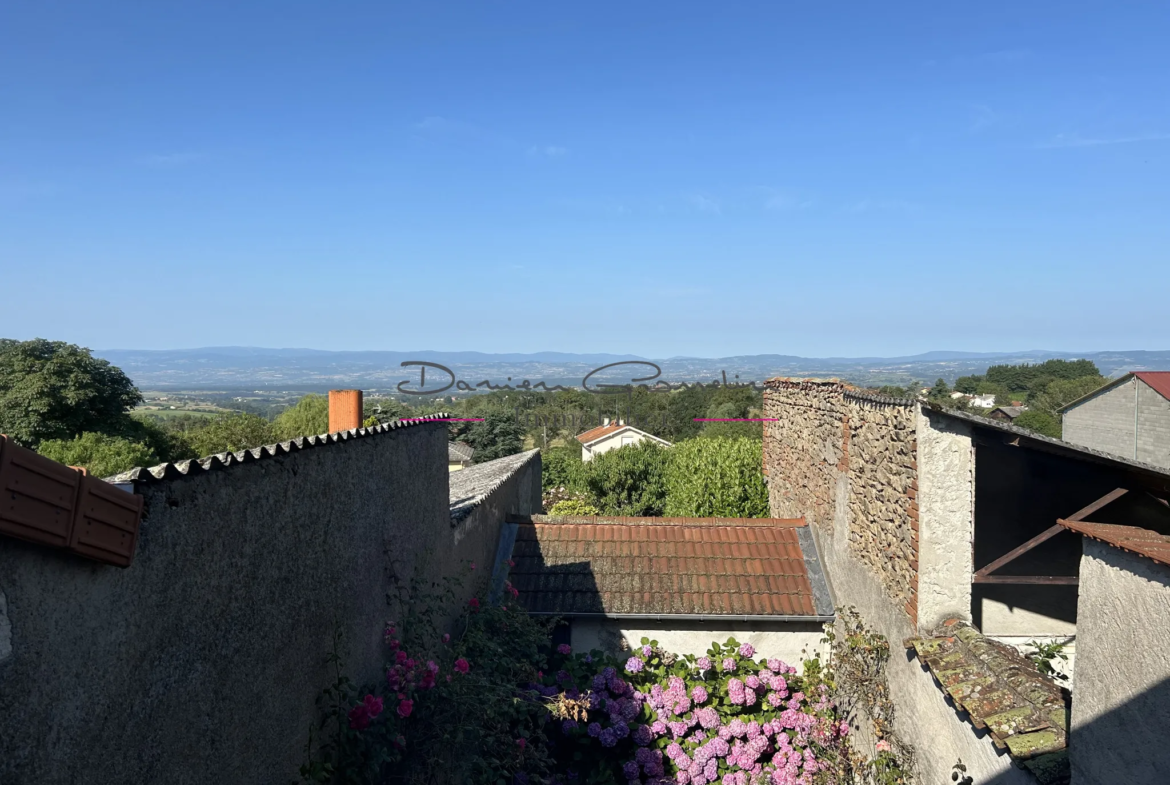 Maison de village à vendre à Neulise avec terrain 