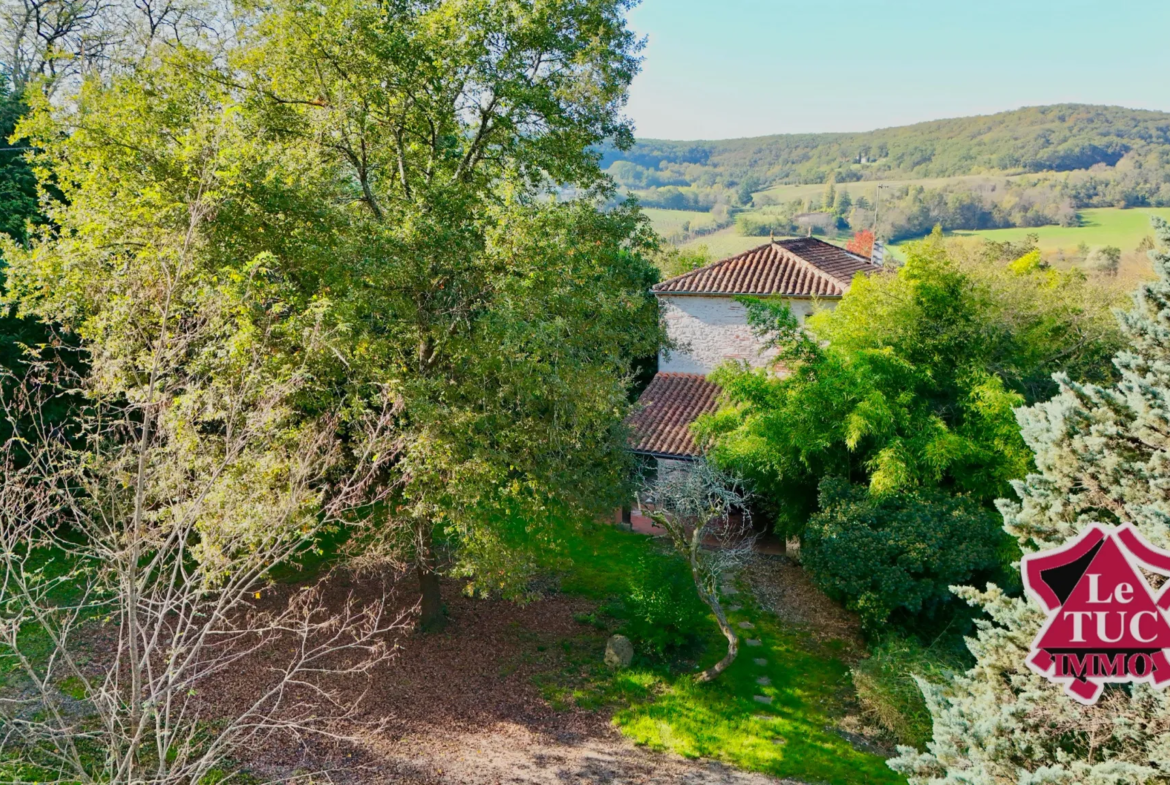 Maison en pierre 3 chambres à vendre à Penne d'Agenais 