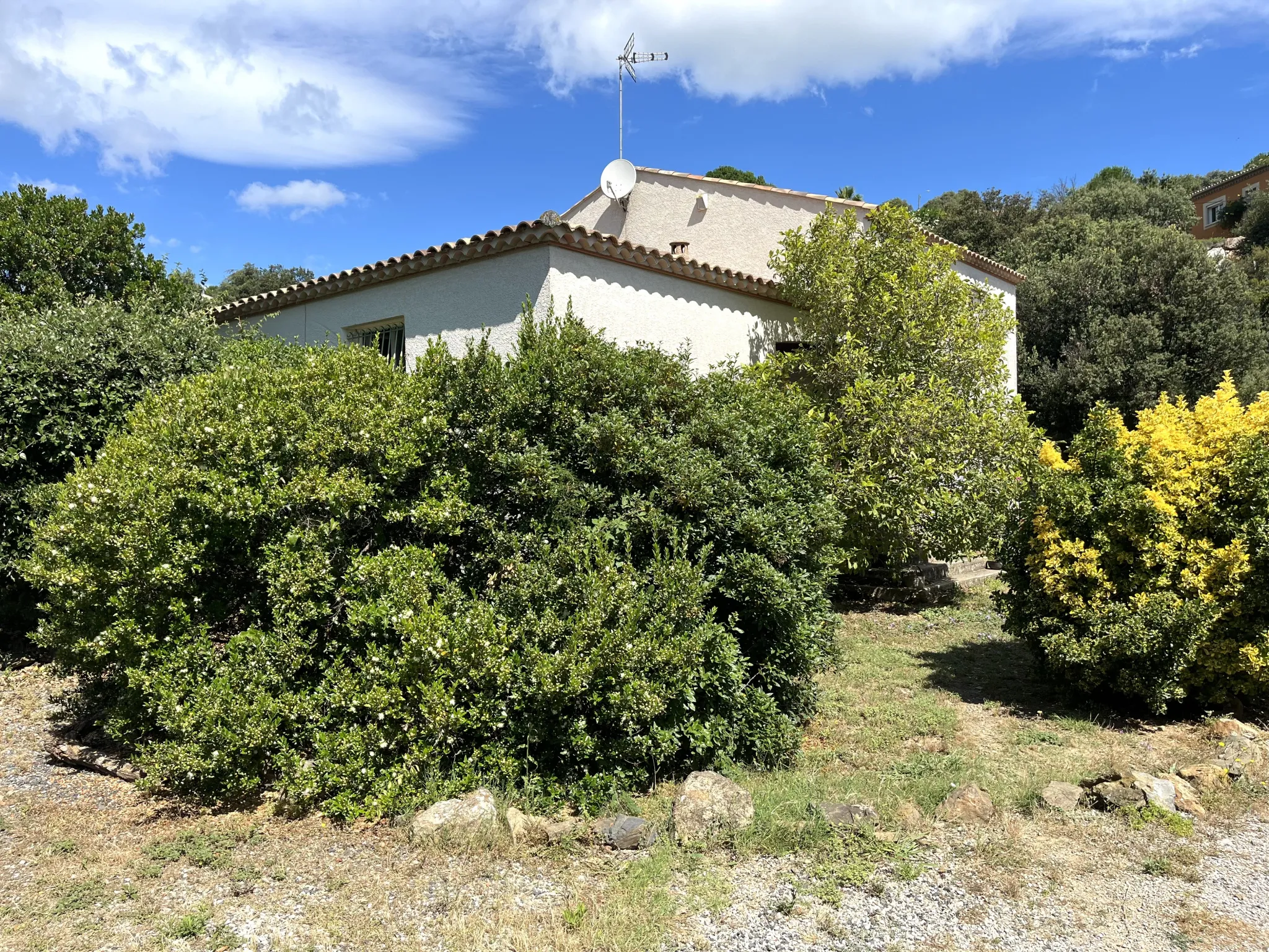 Maison de Campagne 5 pièces avec Piscine à Cabrerolles 