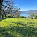 Vente superbe terrain de 970 m² avec vue sur le Rhône à Saint-Vallier