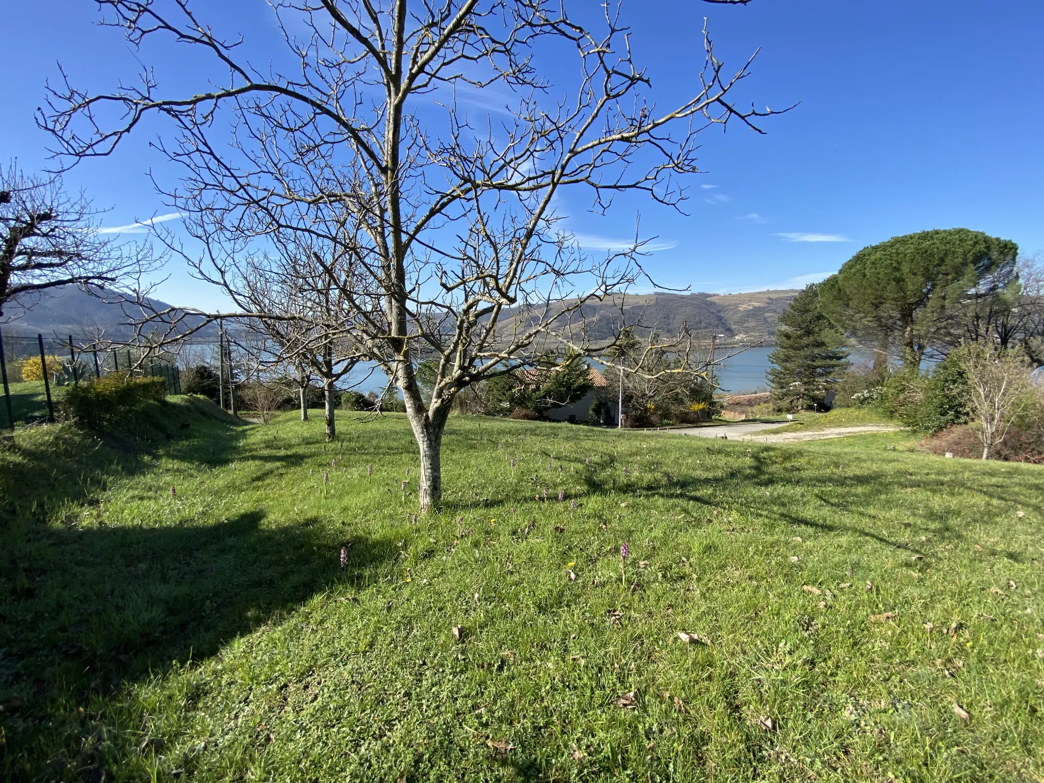 Vente superbe terrain de 970 m² avec vue sur le Rhône à Saint-Vallier 