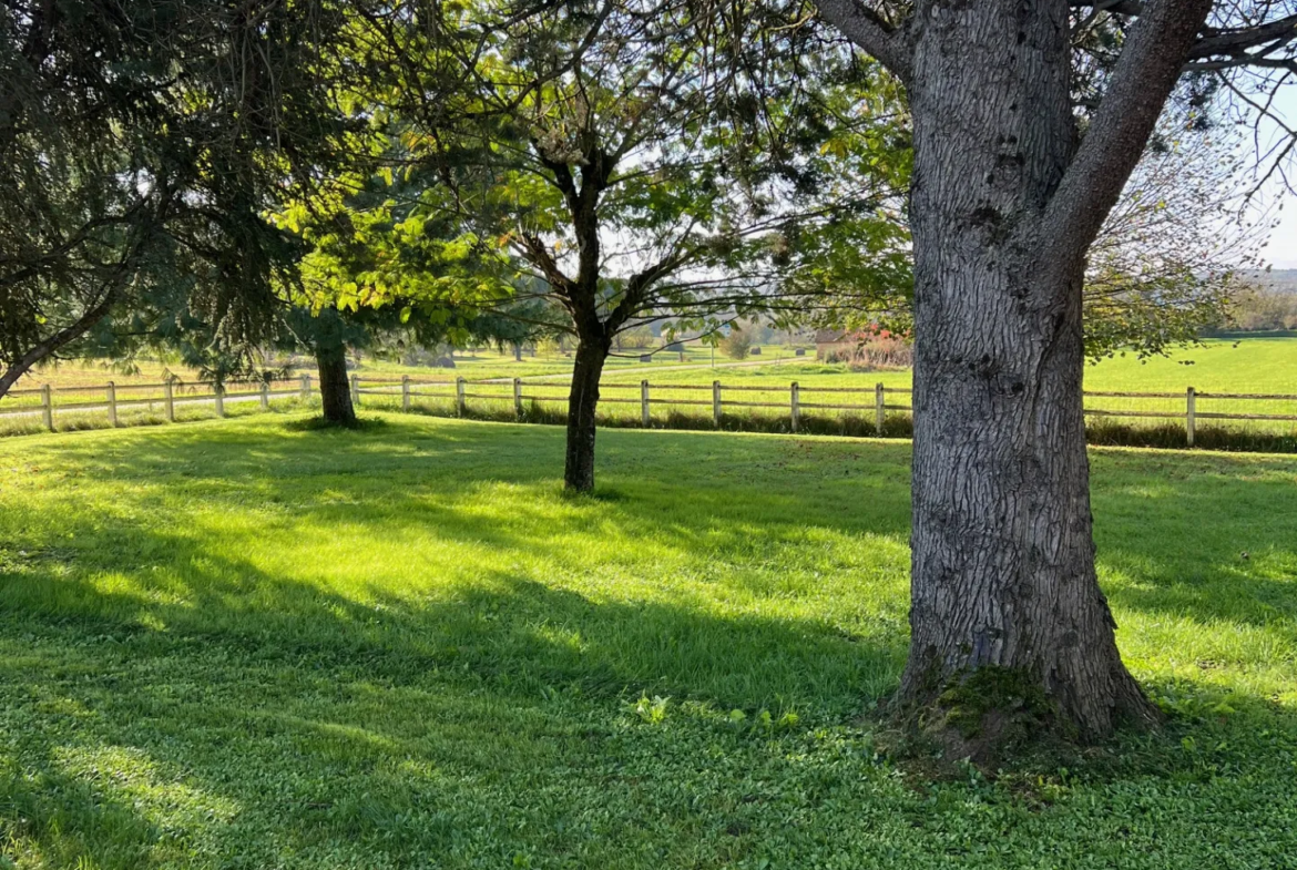 Maison à vendre avec sous-sol et 3145 m² de terrain à St Martin le Redon 