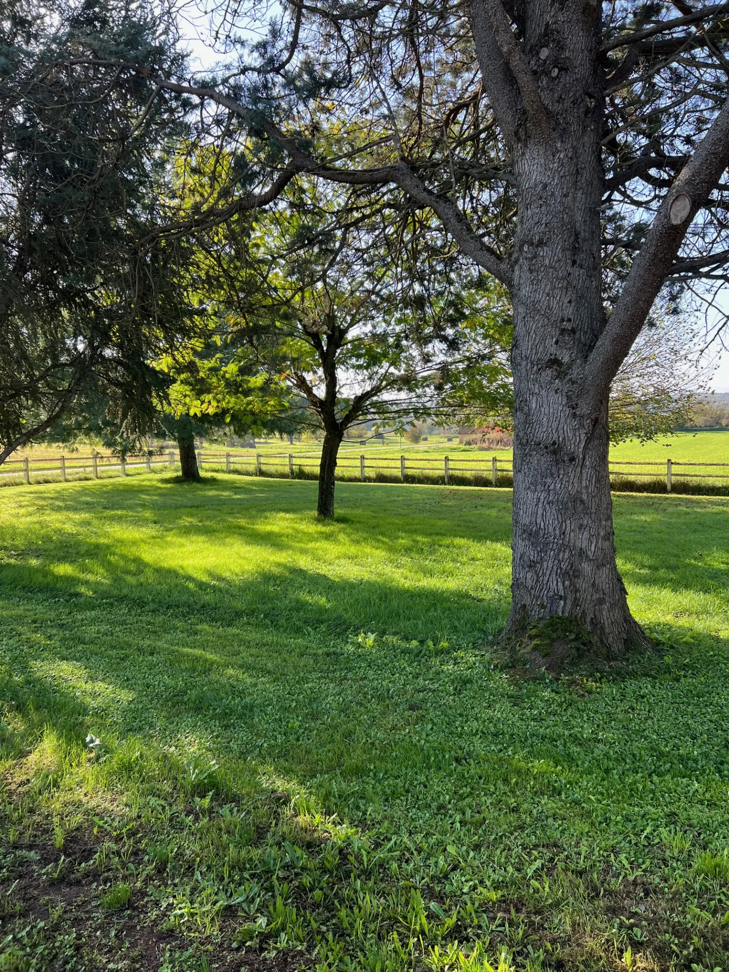 Maison à vendre avec sous-sol et 3145 m² de terrain à St Martin le Redon 