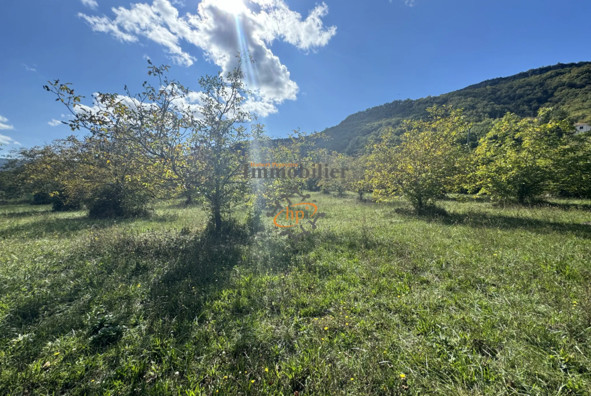 Vente terrain constructible avec maison de vigne à Saint Affrique 