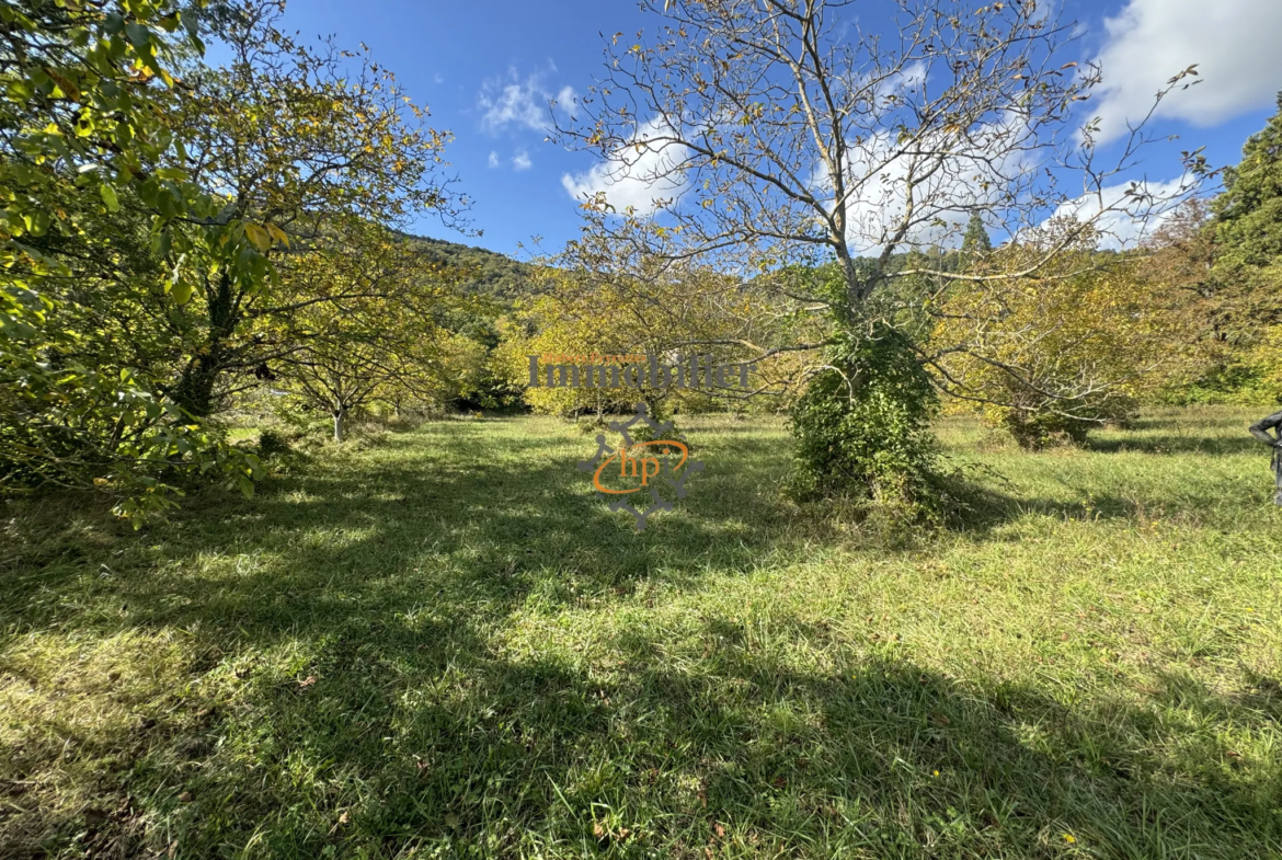 Vente terrain constructible avec maison de vigne à Saint Affrique 