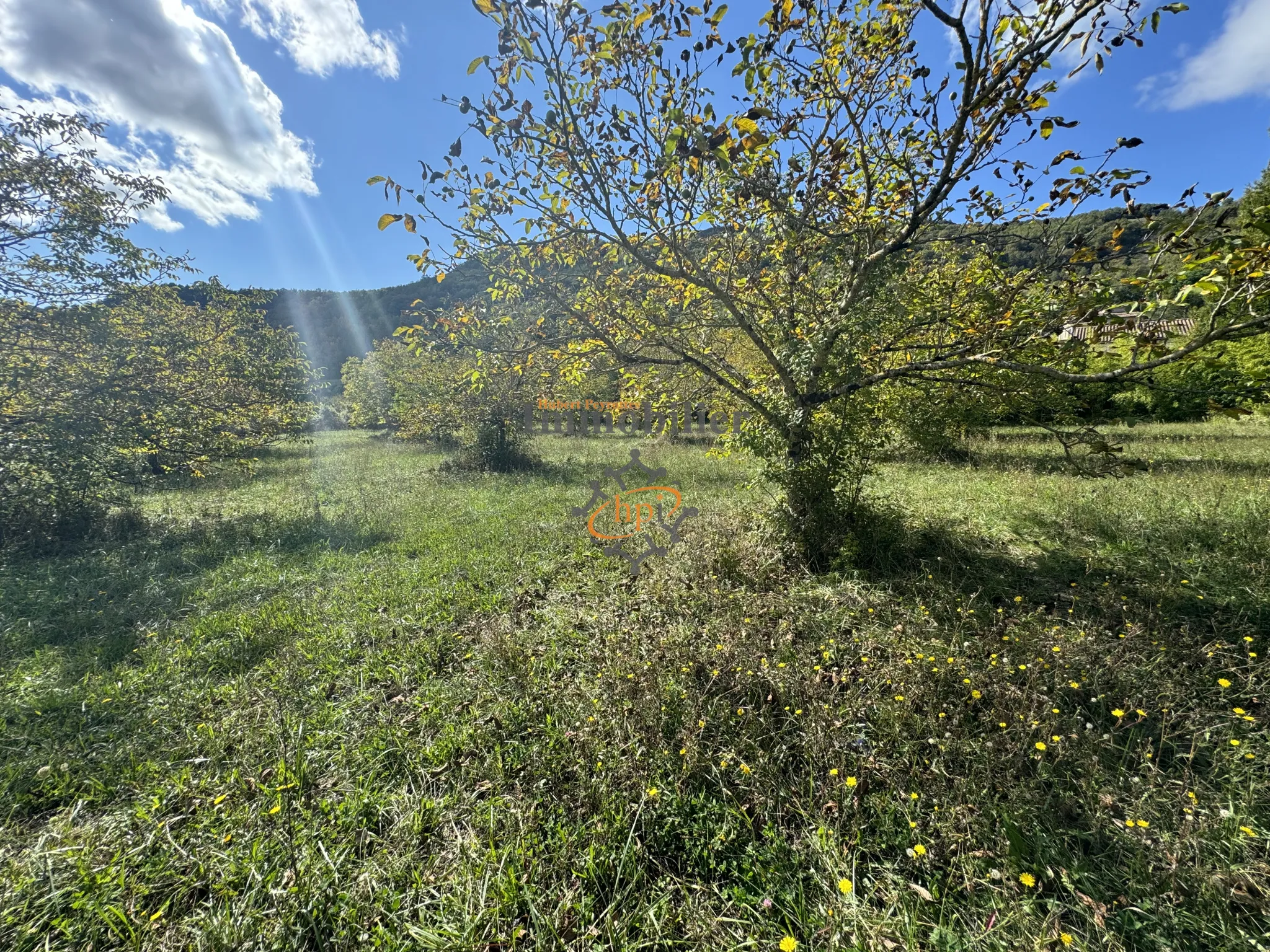 Vente terrain constructible avec maison de vigne à Saint Affrique 