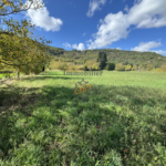 Vente terrain constructible avec maison de vigne à Saint Affrique