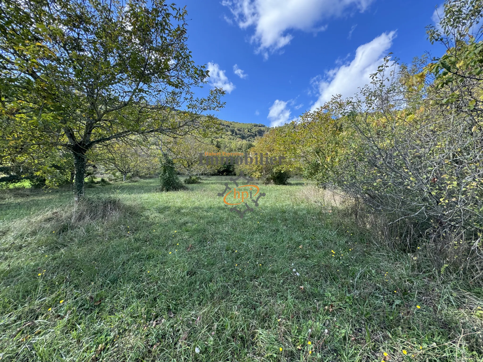 Vente terrain constructible avec maison de vigne à Saint Affrique 