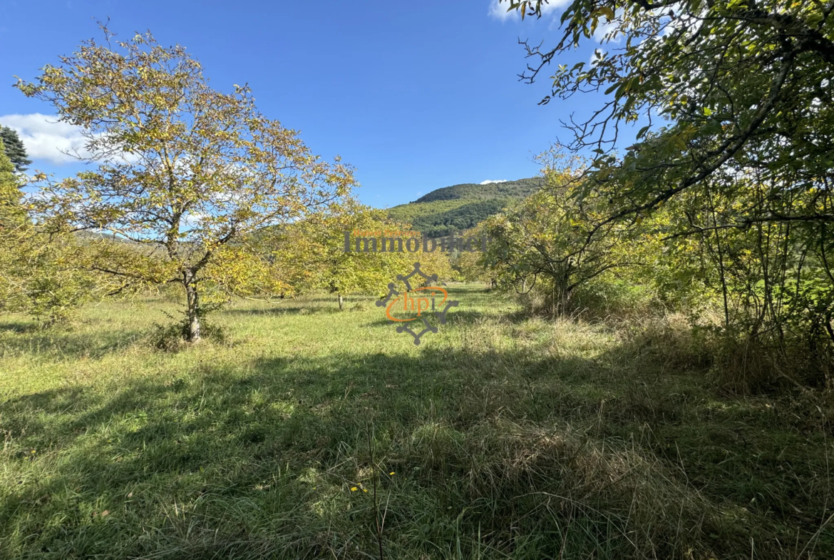 Vente terrain constructible avec maison de vigne à Saint Affrique 