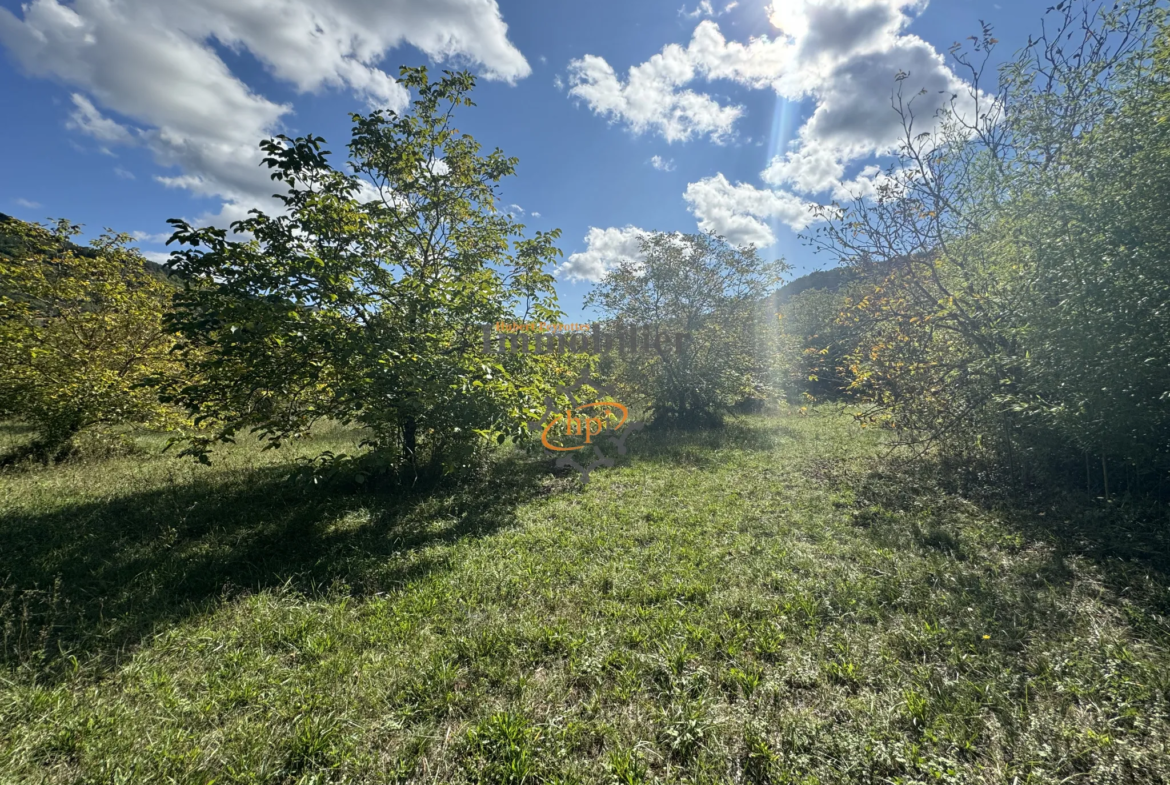 Vente terrain constructible avec maison de vigne à Saint Affrique 