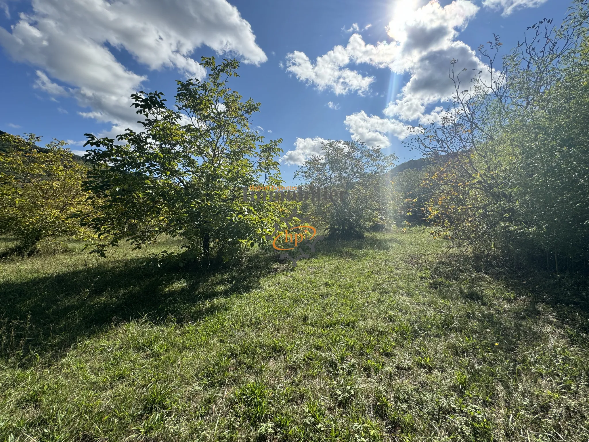 Vente terrain constructible avec maison de vigne à Saint Affrique 