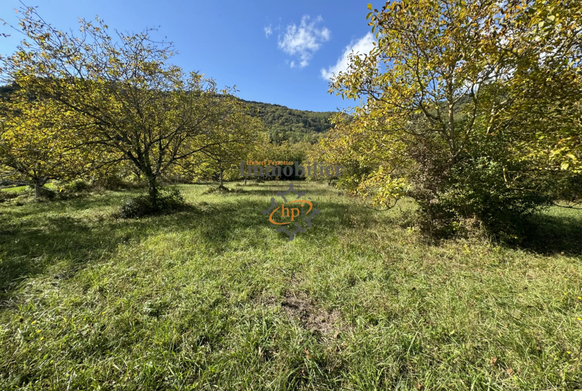 Vente terrain constructible avec maison de vigne à Saint Affrique 