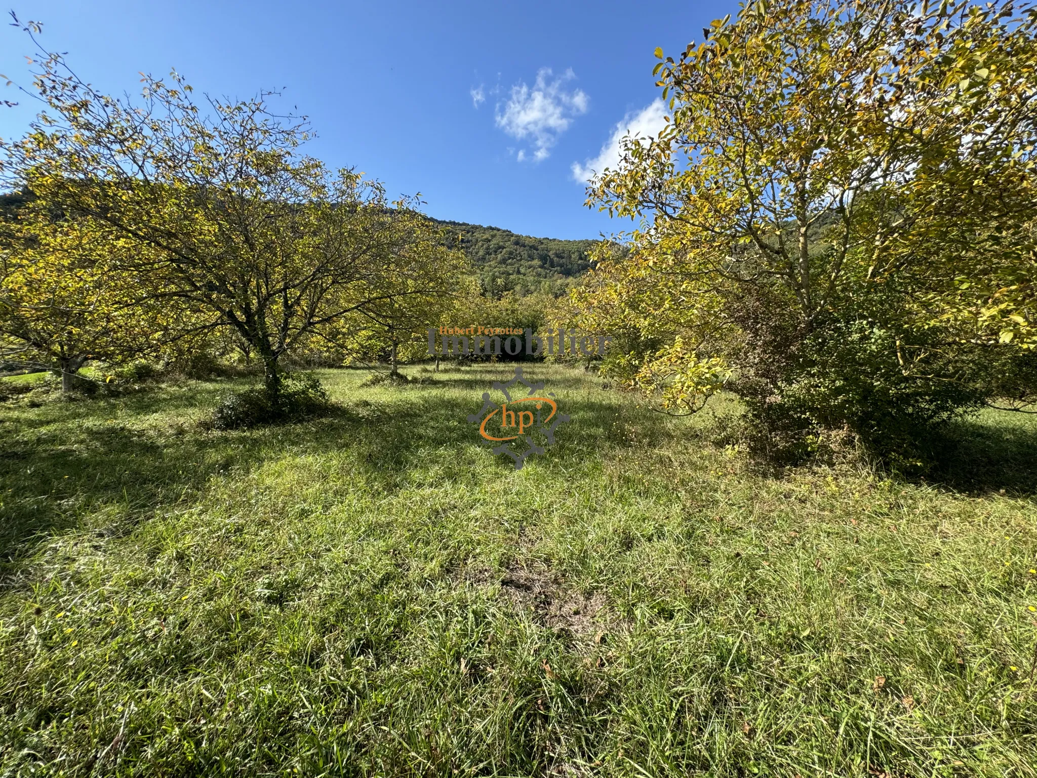 Vente terrain constructible avec maison de vigne à Saint Affrique 