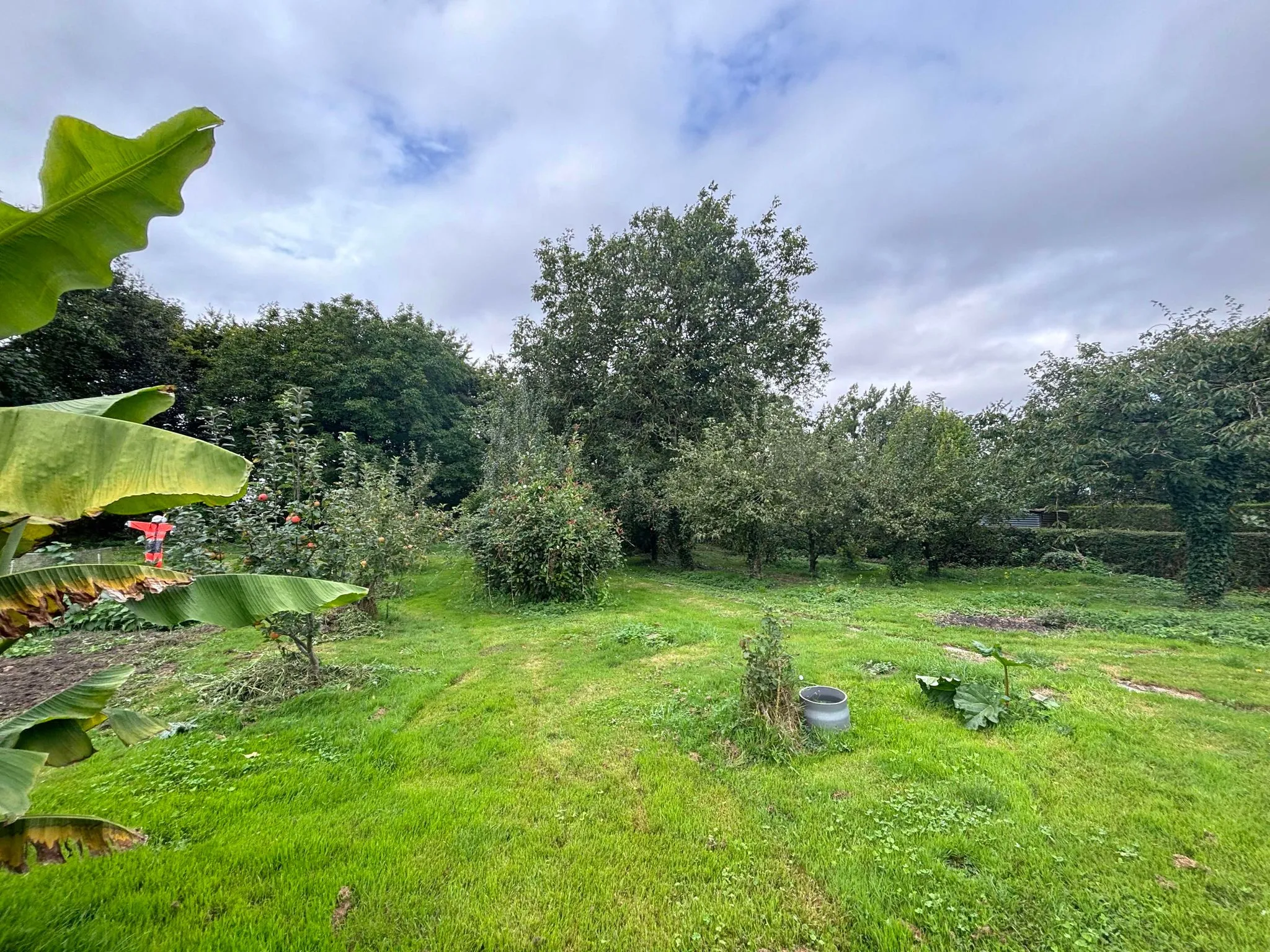 Maison individuelle à vendre près de Crécy-en-Ponthieu 