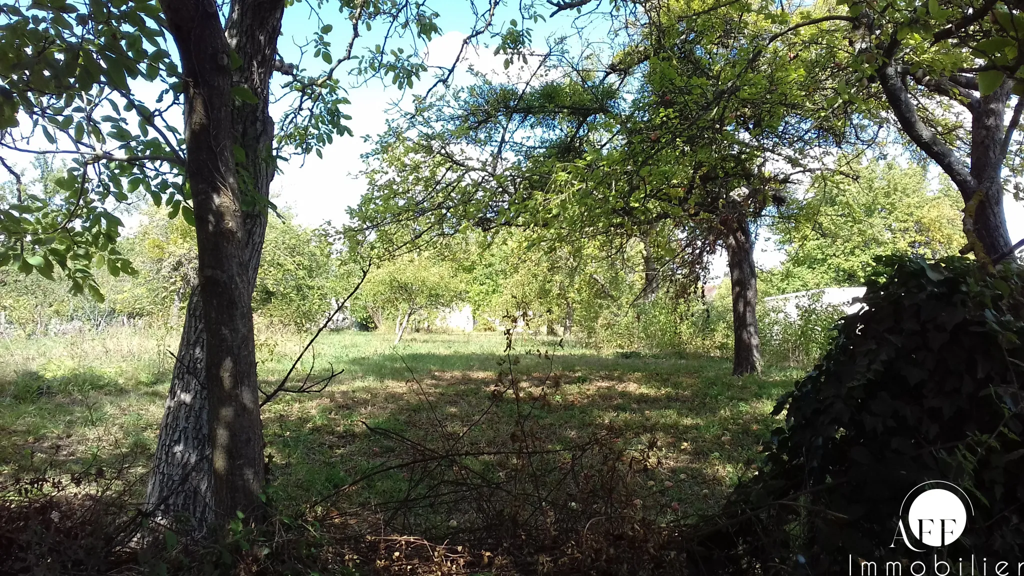 Terrain à bâtir de 869 m² à Jouy-sur-Morin, calme et commodités proches 