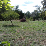 Terrain à bâtir de 869 m² à Jouy-sur-Morin, calme et commodités proches