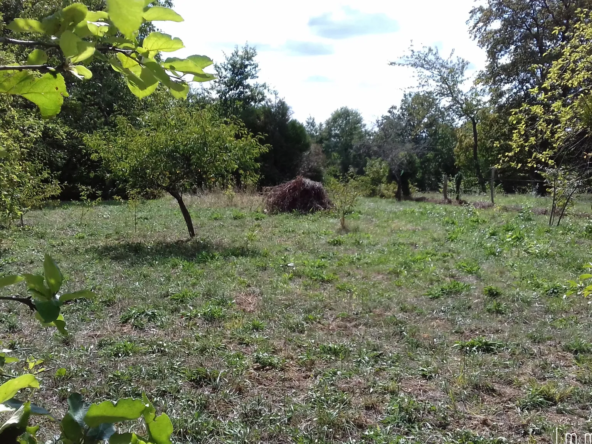 Terrain à bâtir de 869 m² à Jouy-sur-Morin, calme et commodités proches