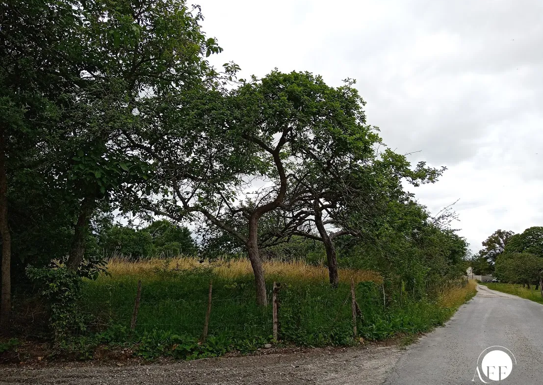 Terrain à bâtir de 869 m² à Jouy-sur-Morin, calme et commodités proches 