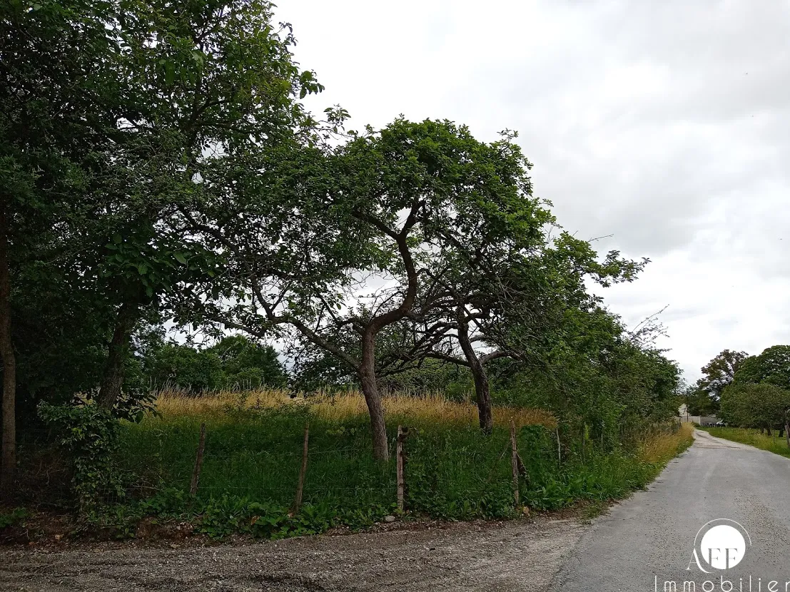 Terrain à bâtir de 869 m² à Jouy-sur-Morin, calme et commodités proches 