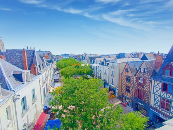 Appartement rénové au dernier étage à Tours - 4 chambres