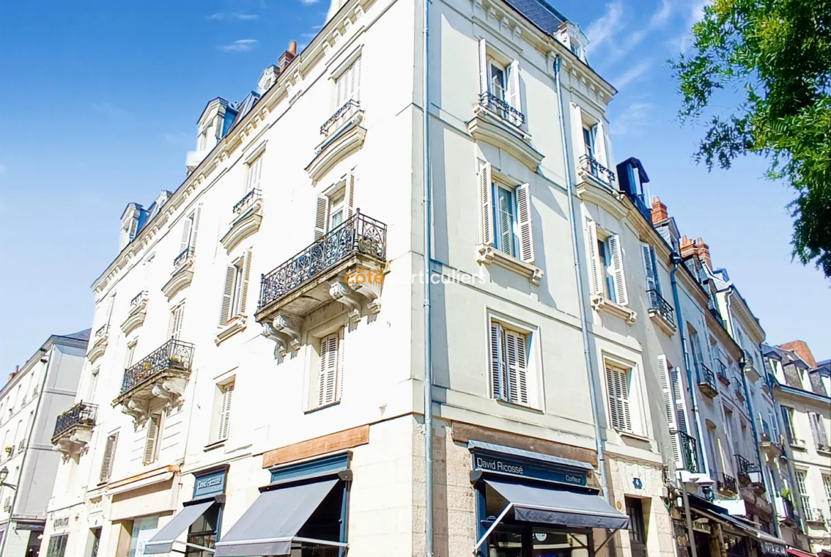 Appartement rénové au dernier étage à Tours - 4 chambres 